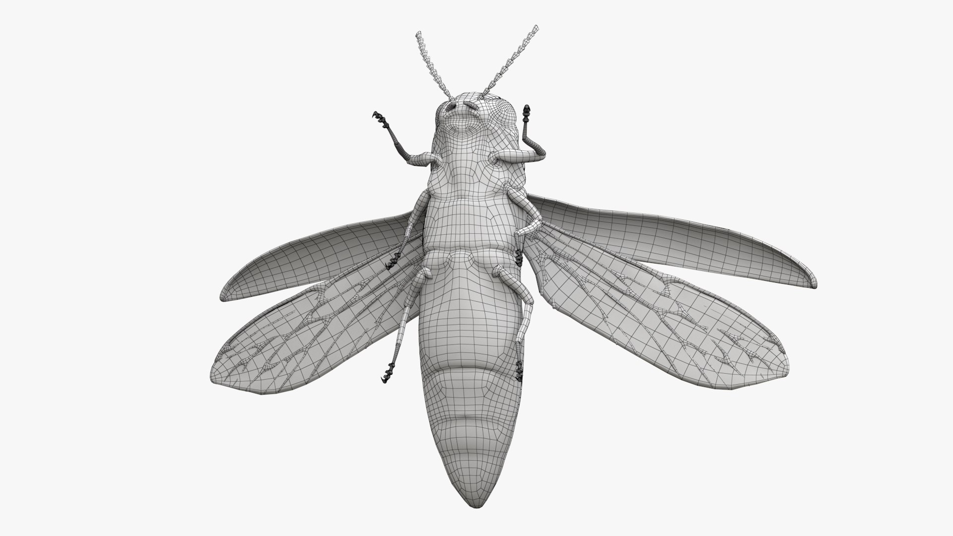 Emerald Ash Borer 3D model https://p.turbosquid.com/ts-thumb/mx/74KVJp/5x/turbosquid_wire_hd09/jpg/1654446207/1920x1080/fit_q87/11d79e6f75b006d67c841cdbd6ceac08a4560528/turbosquid_wire_hd09.jpg