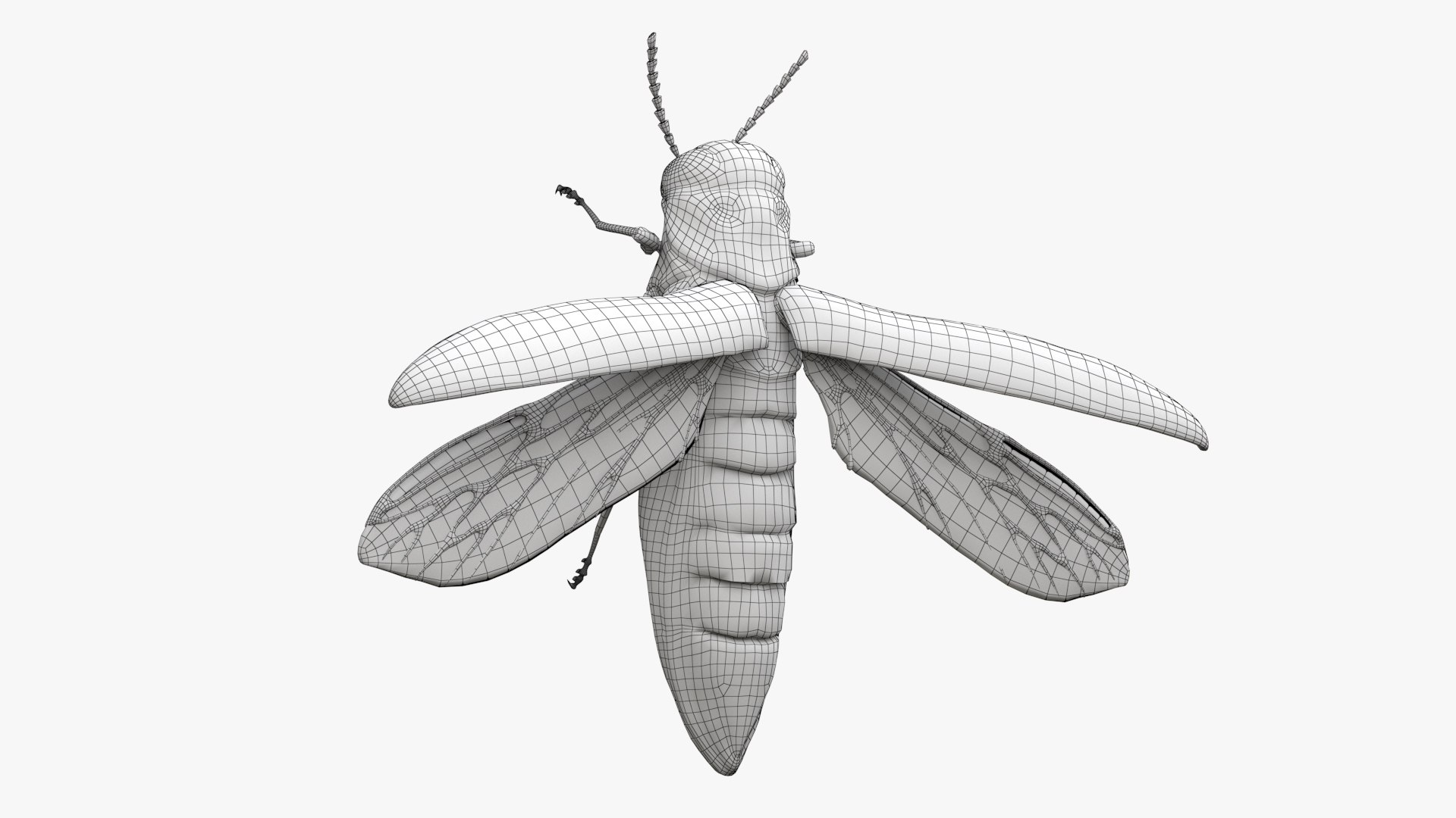 Emerald Ash Borer 3D model https://p.turbosquid.com/ts-thumb/mx/74KVJp/81/turbosquid_wire_hd02/jpg/1654446206/1920x1080/fit_q87/5fb207064c302b48a7a92ac1548204846fa7df93/turbosquid_wire_hd02.jpg