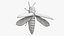 Emerald Ash Borer