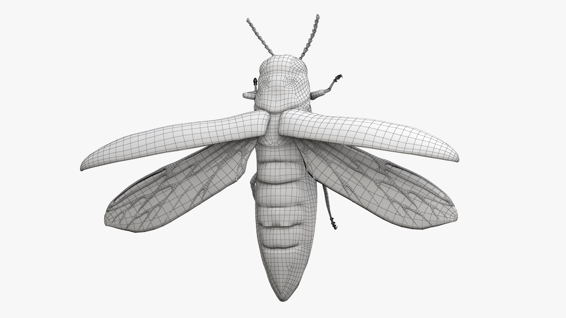 Emerald Ash Borer 3D model https://p.turbosquid.com/ts-thumb/mx/74KVJp/82/turbosquid_wire_hd19/jpg/1654446210/1920x1080/fit_q87/4a01c435a34c0514af82c248f9393a2b7cc0b554/turbosquid_wire_hd19.jpg
