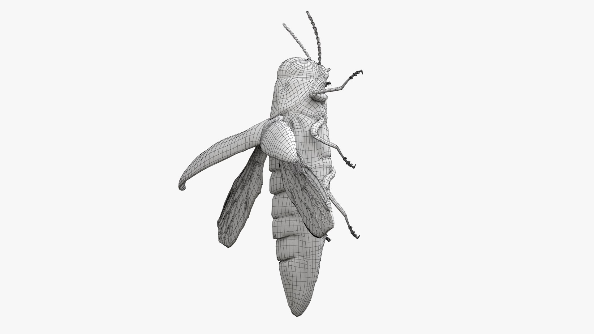 Emerald Ash Borer 3D model https://p.turbosquid.com/ts-thumb/mx/74KVJp/8u/turbosquid_wire_hd16/jpg/1654446209/1920x1080/fit_q87/4a4995e266a74b0cdb6ca4ef8628e2ac4bf00ce3/turbosquid_wire_hd16.jpg