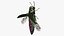Emerald Ash Borer