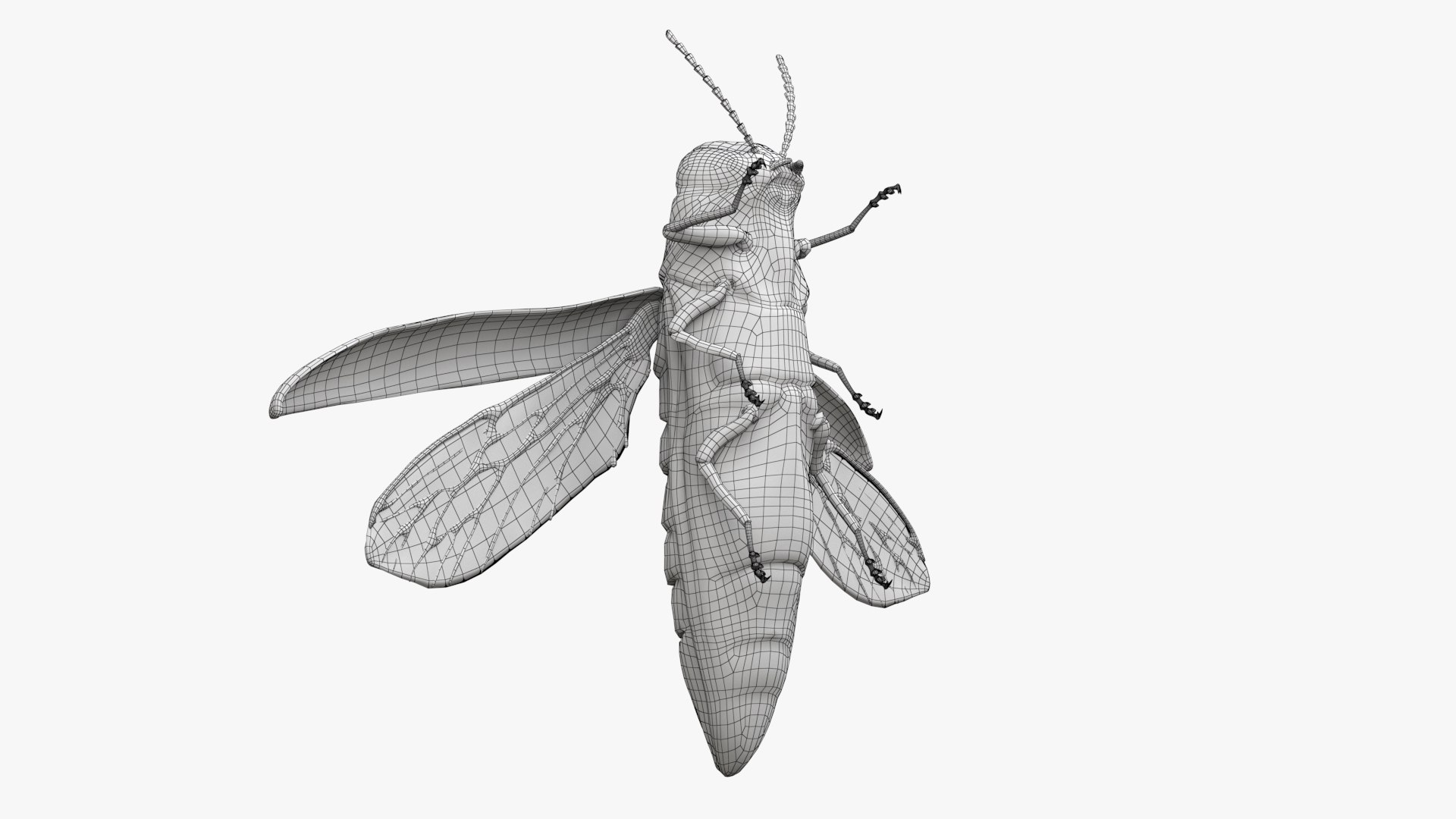 Emerald Ash Borer 3D model https://p.turbosquid.com/ts-thumb/mx/74KVJp/Fp/turbosquid_wire_hd13/jpg/1654446209/1920x1080/fit_q87/c27a59db9bbb0e525d8b724130be2e2b877984ae/turbosquid_wire_hd13.jpg