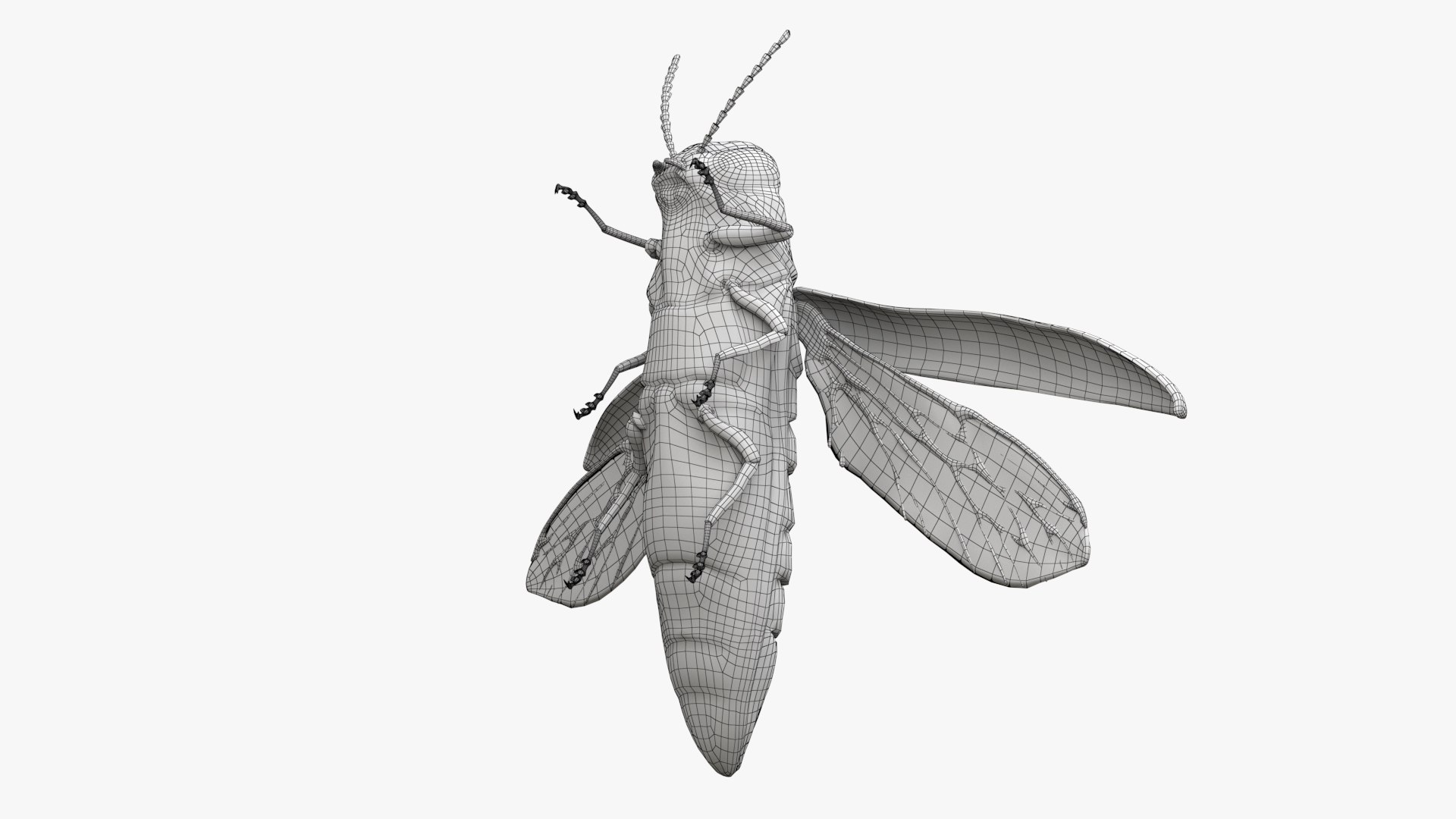 Emerald Ash Borer 3D model https://p.turbosquid.com/ts-thumb/mx/74KVJp/H0/turbosquid_wire_hd07/jpg/1654446206/1920x1080/fit_q87/c5f16e2a6969d780d63ca5d53d27c59ff7e764fe/turbosquid_wire_hd07.jpg