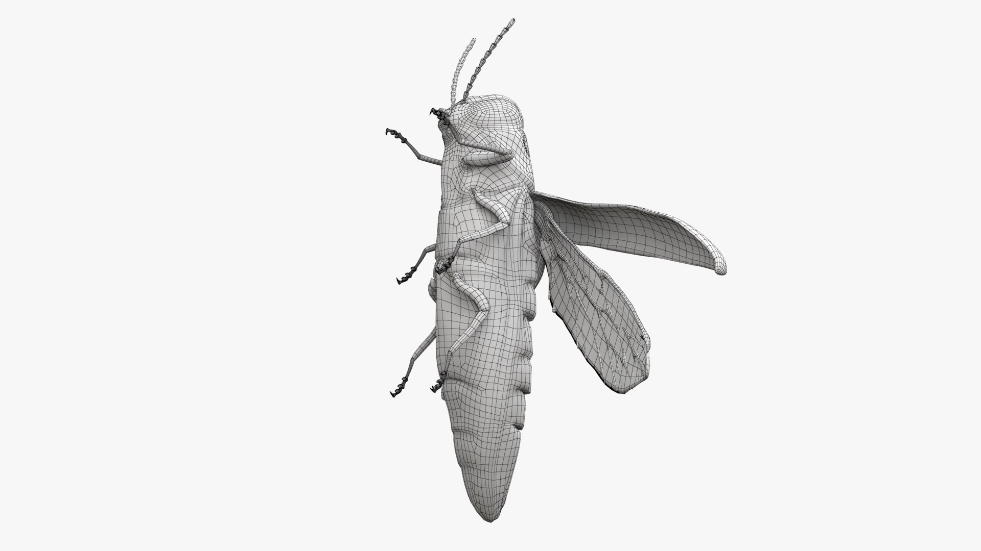 Emerald Ash Borer 3D model https://p.turbosquid.com/ts-thumb/mx/74KVJp/Hl/turbosquid_wire_hd06/jpg/1654446206/1920x1080/fit_q87/8cec4e2b490c0b494a87ebfe93ad23c5de3ad488/turbosquid_wire_hd06.jpg