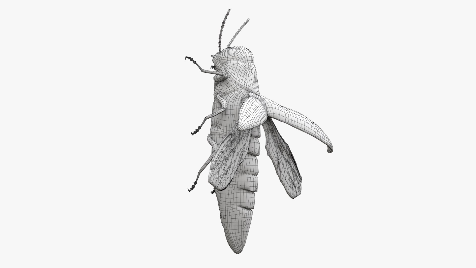 Emerald Ash Borer 3D model https://p.turbosquid.com/ts-thumb/mx/74KVJp/NQ/turbosquid_wire_hd04/jpg/1654446206/1920x1080/fit_q87/fa1c6307f3d944d7e17f69fd6ea45057d2202a5a/turbosquid_wire_hd04.jpg