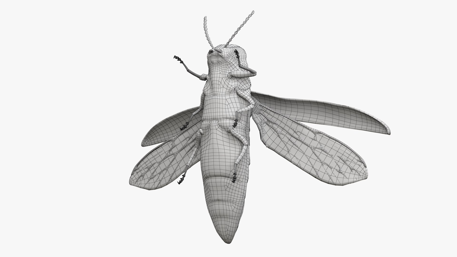 Emerald Ash Borer 3D model https://p.turbosquid.com/ts-thumb/mx/74KVJp/OF/turbosquid_wire_hd08/jpg/1654446207/1920x1080/fit_q87/6f351cda50143810dd0c78355d6a4ec2af099668/turbosquid_wire_hd08.jpg