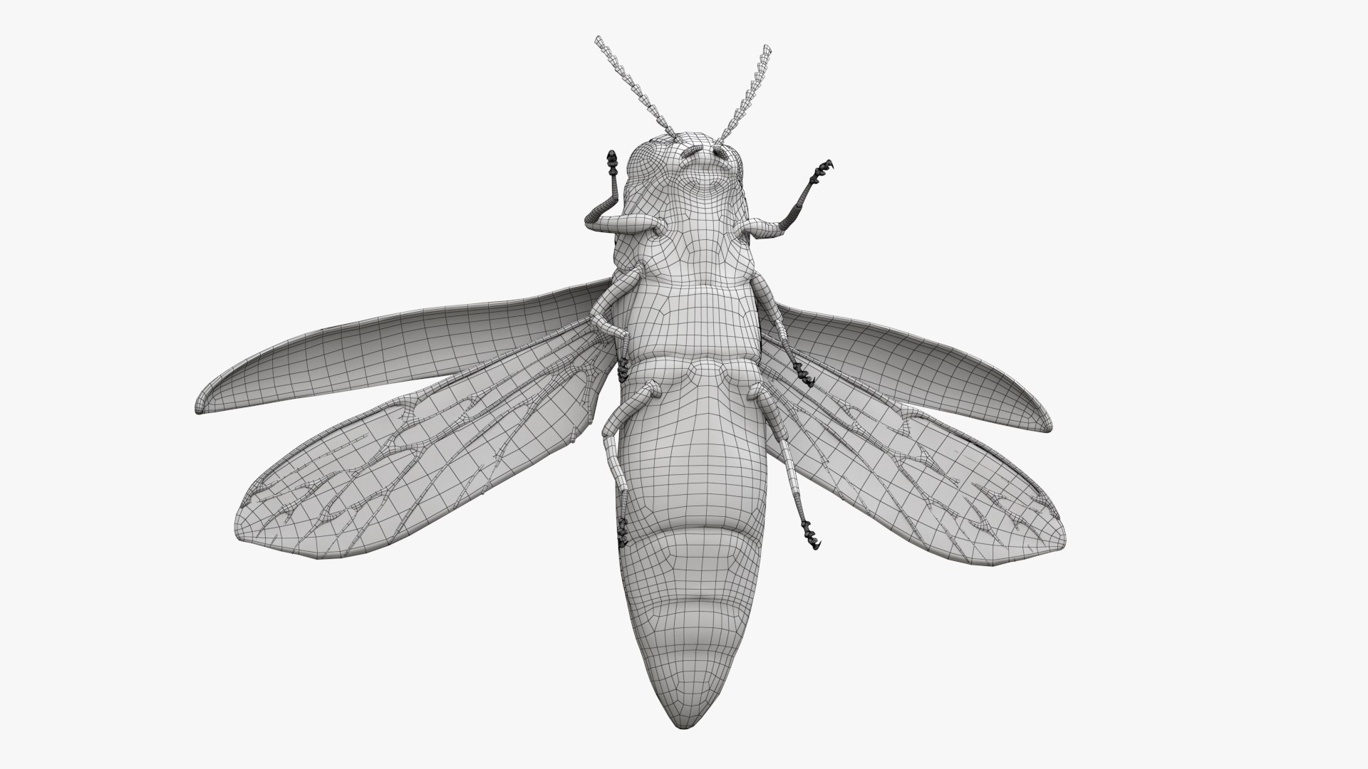 Emerald Ash Borer 3D model https://p.turbosquid.com/ts-thumb/mx/74KVJp/Qb/turbosquid_wire_hd11/jpg/1654446209/1920x1080/fit_q87/5692cfbd9a8a3fdf7ea9c1bbac1f3afeedb231ab/turbosquid_wire_hd11.jpg