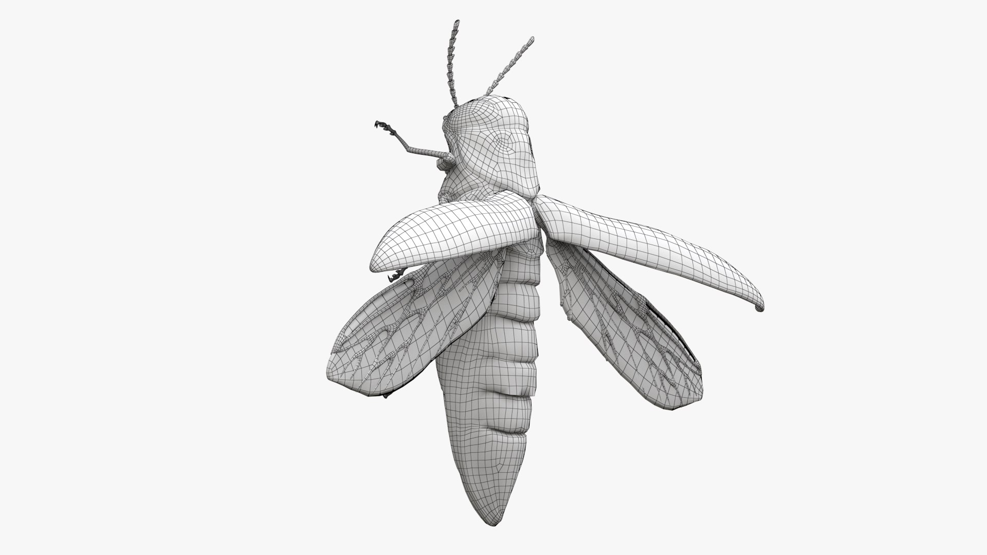 Emerald Ash Borer 3D model https://p.turbosquid.com/ts-thumb/mx/74KVJp/R6/turbosquid_wire_hd03/jpg/1654446206/1920x1080/fit_q87/b66eec56a85753cba91a24baa8b047c8b360484a/turbosquid_wire_hd03.jpg