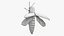 Emerald Ash Borer