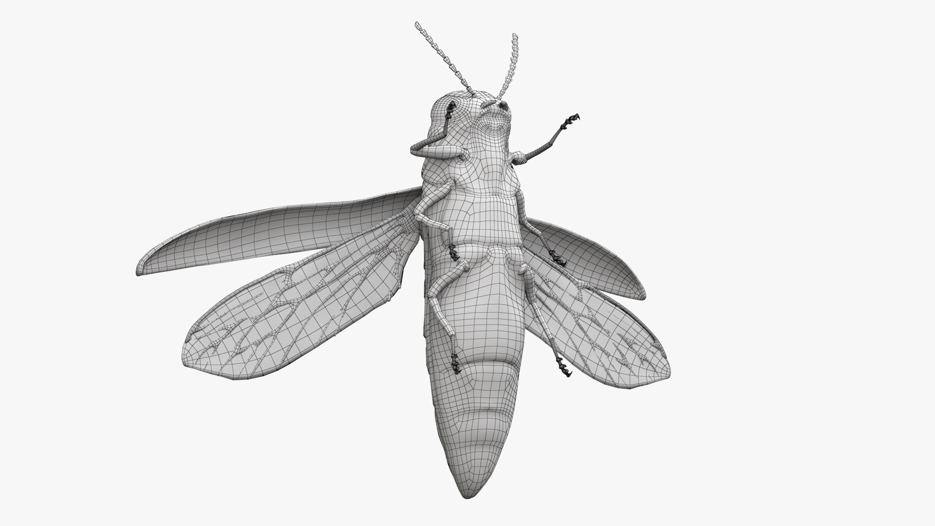 Emerald Ash Borer 3D model https://p.turbosquid.com/ts-thumb/mx/74KVJp/U1/turbosquid_wire_hd12/jpg/1654446208/1920x1080/fit_q87/bd686cbb31e1aeab56549f5bc1cee1e39e2fd15f/turbosquid_wire_hd12.jpg