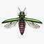 Emerald Ash Borer