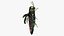 Emerald Ash Borer
