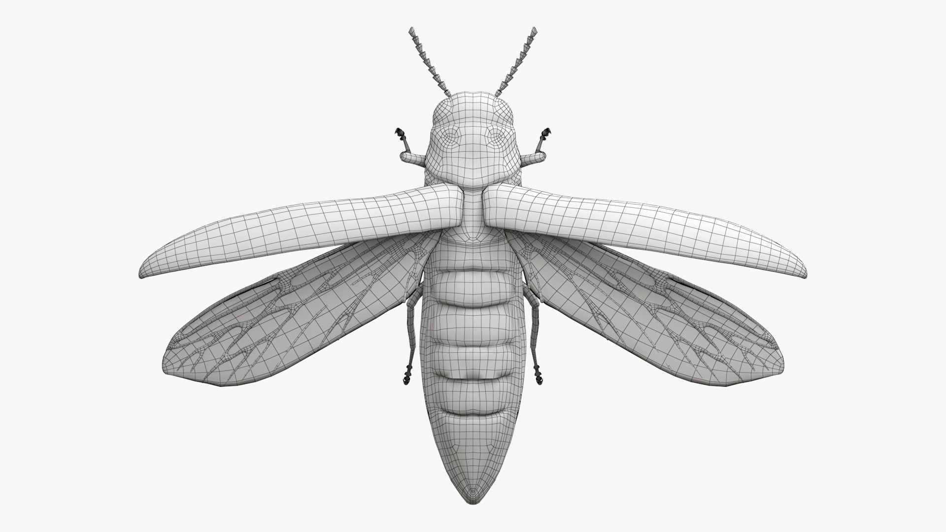 Emerald Ash Borer 3D model https://p.turbosquid.com/ts-thumb/mx/74KVJp/iJ/turbosquid_wire_hd00/jpg/1654446205/1920x1080/fit_q87/9eeb7a481cc4461d171e420268d53dadf4bbd0fa/turbosquid_wire_hd00.jpg