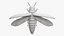 Emerald Ash Borer