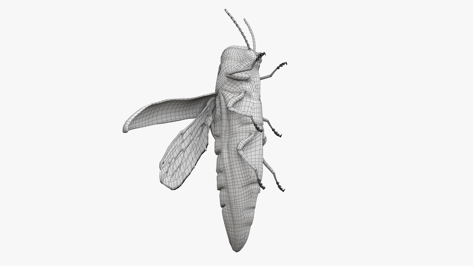 Emerald Ash Borer 3D model https://p.turbosquid.com/ts-thumb/mx/74KVJp/jw/turbosquid_wire_hd14/jpg/1654446208/1920x1080/fit_q87/1bc28c5594534a0105de503817540b1cc1f0b851/turbosquid_wire_hd14.jpg