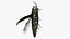 Emerald Ash Borer