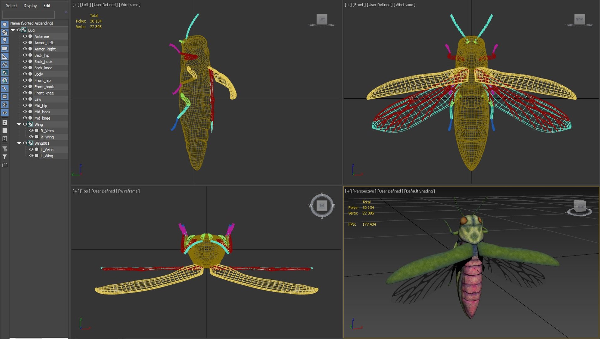 Emerald Ash Borer 3D model https://p.turbosquid.com/ts-thumb/mx/74KVJp/lg/screenshot20220605192607/jpg/1654446399/1920x1080/fit_q87/055699e66a17b528062f56fbf74b40e733cec791/screenshot20220605192607.jpg