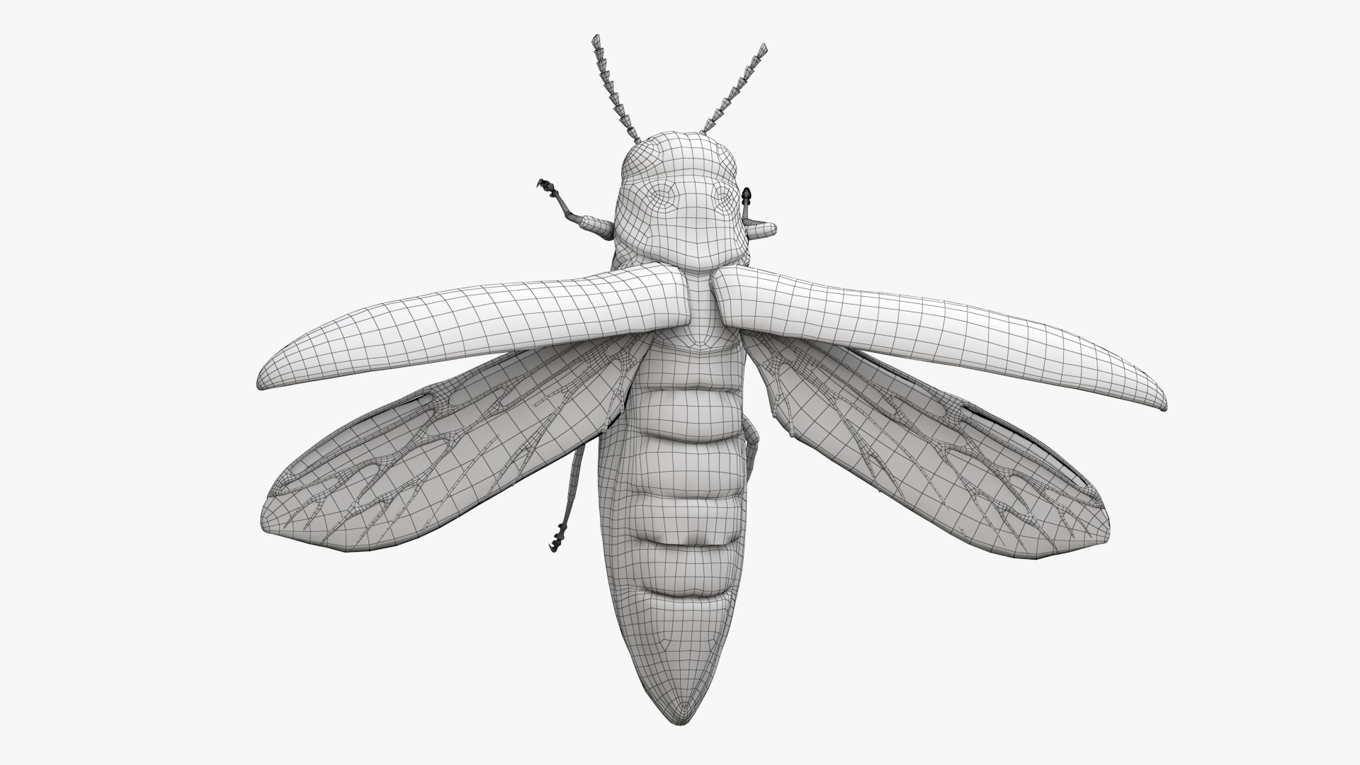 Emerald Ash Borer 3D model https://p.turbosquid.com/ts-thumb/mx/74KVJp/lh/turbosquid_wire_hd01/jpg/1654446206/1920x1080/fit_q87/be25b5c752cd211302fa40c3b337a10b2663e447/turbosquid_wire_hd01.jpg