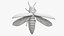 Emerald Ash Borer