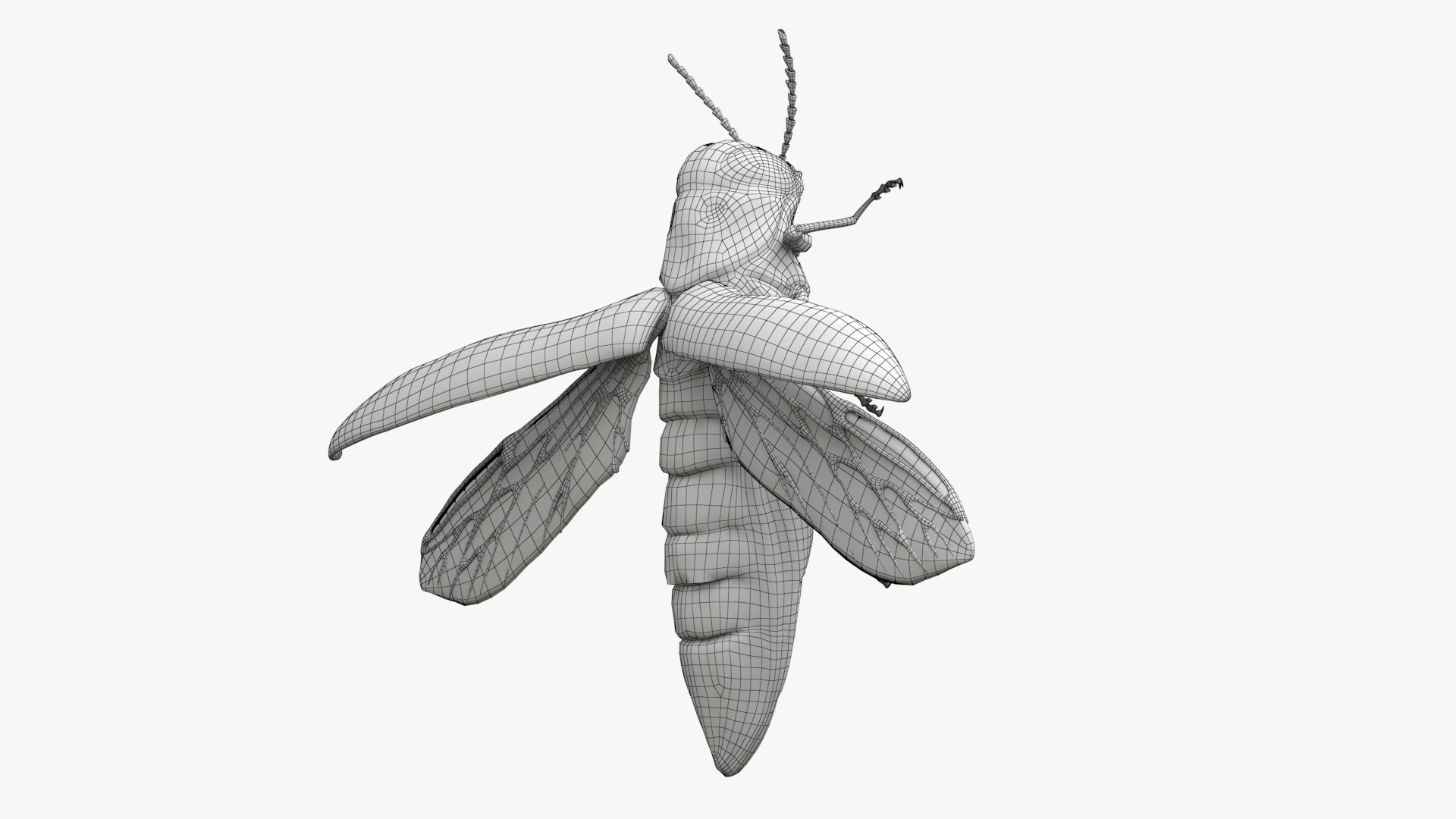 Emerald Ash Borer 3D model https://p.turbosquid.com/ts-thumb/mx/74KVJp/o6/turbosquid_wire_hd17/jpg/1654446209/1920x1080/fit_q87/e123cd8174f081e697a7b13ba9dc5f6298389156/turbosquid_wire_hd17.jpg
