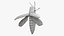 Emerald Ash Borer