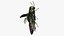 Emerald Ash Borer