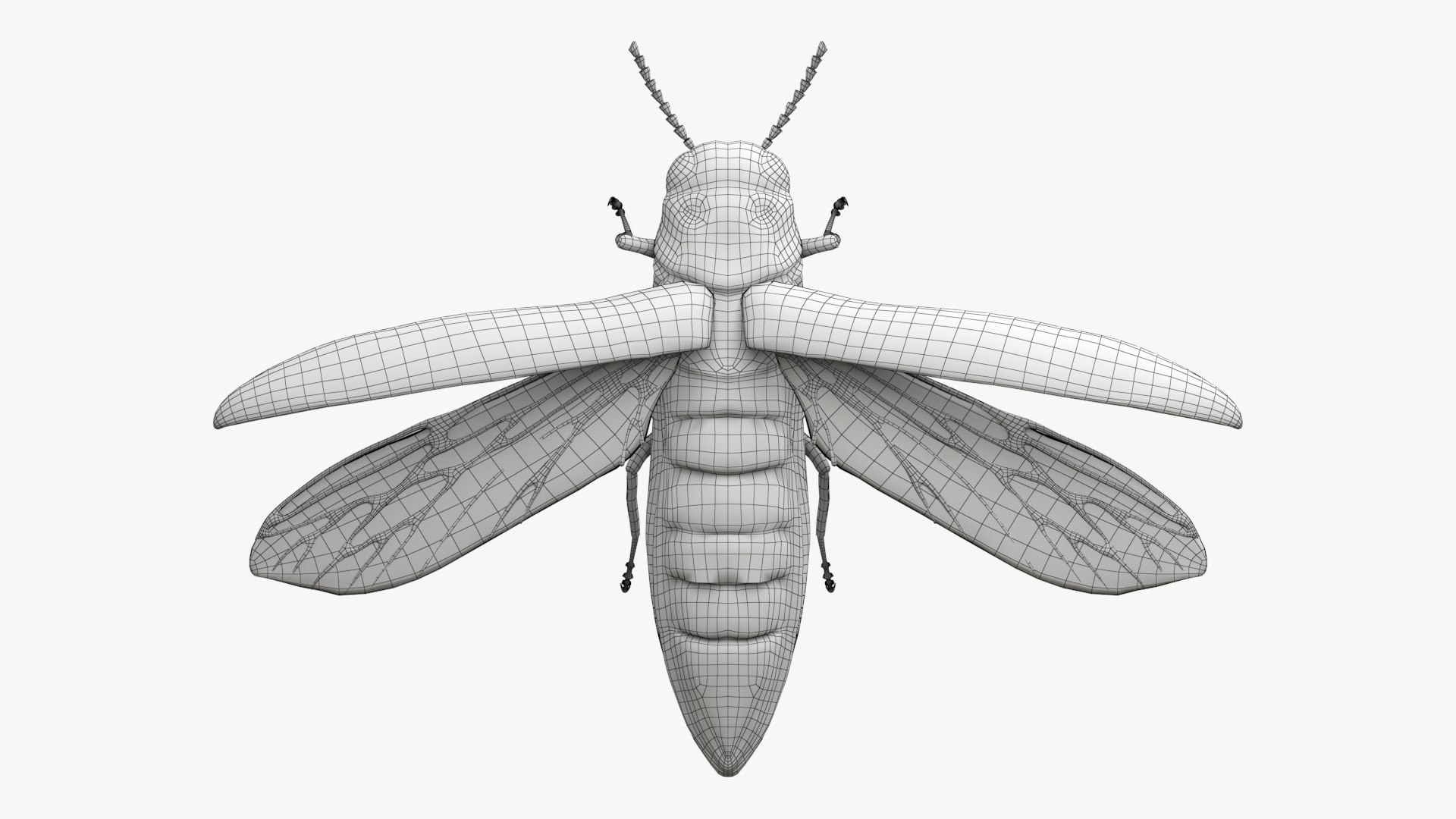 Emerald Ash Borer 3D model https://p.turbosquid.com/ts-thumb/mx/74KVJp/sf/turbosquid_wire_hd20/jpg/1654446210/1920x1080/fit_q87/50f53c4b888af64eb2776e674eeaea9621d24cdc/turbosquid_wire_hd20.jpg