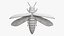 Emerald Ash Borer