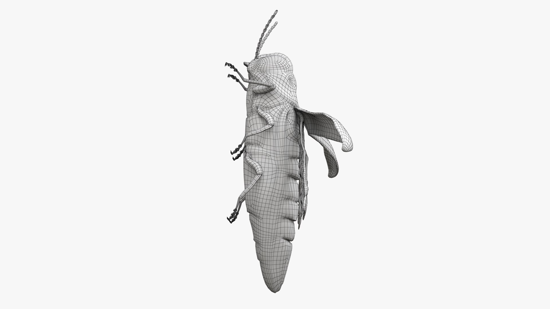 Emerald Ash Borer 3D model https://p.turbosquid.com/ts-thumb/mx/74KVJp/vn/turbosquid_wire_hd05/jpg/1654446206/1920x1080/fit_q87/ebdde03a380d224cb020169c2e9d7fdf6a280ff1/turbosquid_wire_hd05.jpg