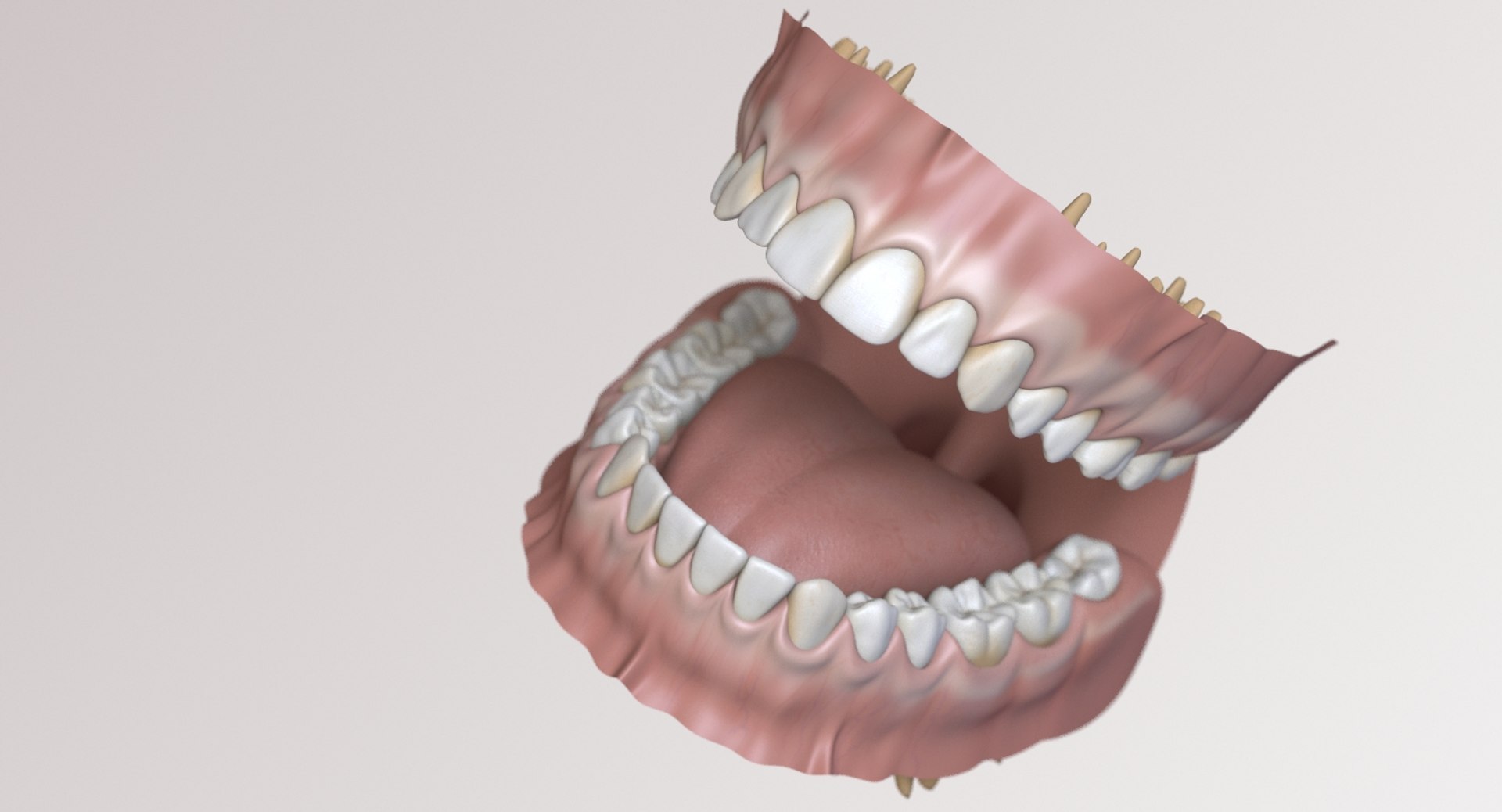 dentition stylized 3D model https://p.turbosquid.com/ts-thumb/mx/Ae8pEn/2Qrqe2iy/signature1480_bgr/jpg/1496151804/1920x1080/fit_q87/faa813f3ab226ca985cb5767434c10e3993fb2cc/signature1480_bgr.jpg