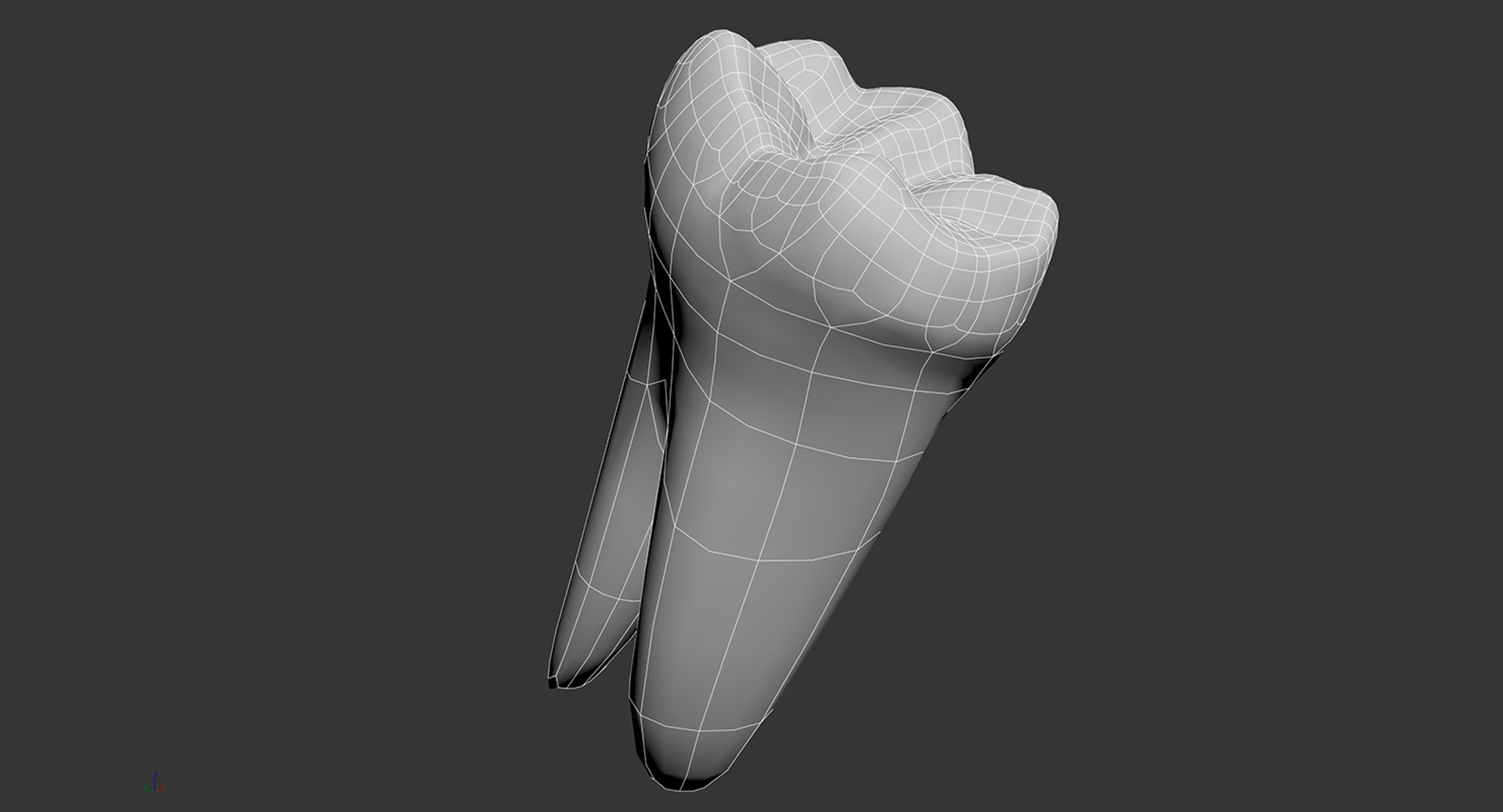 dentition stylized 3D model https://p.turbosquid.com/ts-thumb/mx/Ae8pEn/Jy8R306G/wire_5/jpg/1496151804/1920x1080/fit_q87/58aba197a303ab5ca28f731ce7743a2fd91ac09c/wire_5.jpg