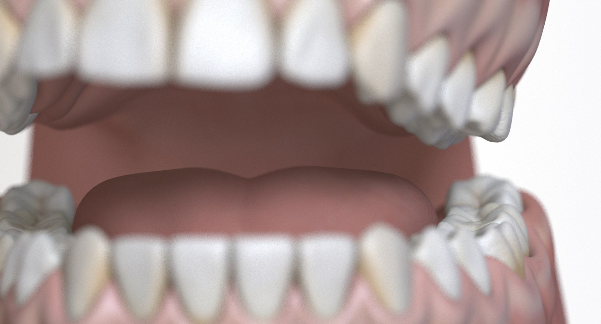 dentition stylized 3D model https://p.turbosquid.com/ts-thumb/mx/Ae8pEn/qOSZNULp/02/jpg/1496151804/1920x1080/fit_q87/8892243b4768212a9403bb110d7efbe00d702857/02.jpg