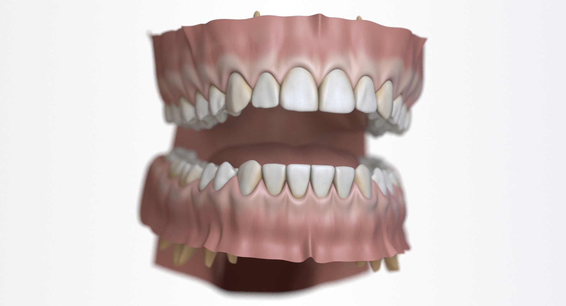dentition stylized 3D model https://p.turbosquid.com/ts-thumb/mx/Ae8pEn/tZO5qAW0/360mouth/jpg/1496151282/1920x1080/turn_fit_q99/cafc7923e2c22a722d82608907f7030f410efc12/360mouth-1.jpg