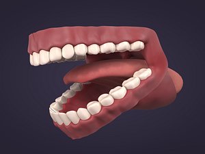 Mouth 3D Model