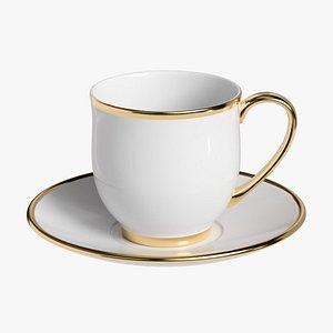 Classic Coffee Cup With Saucer model