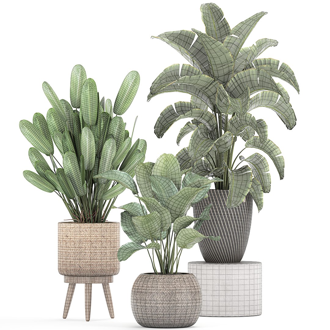 3D Banana Rattan Basket Plants - TurboSquid 1658188