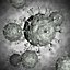 3D coronavirus virus