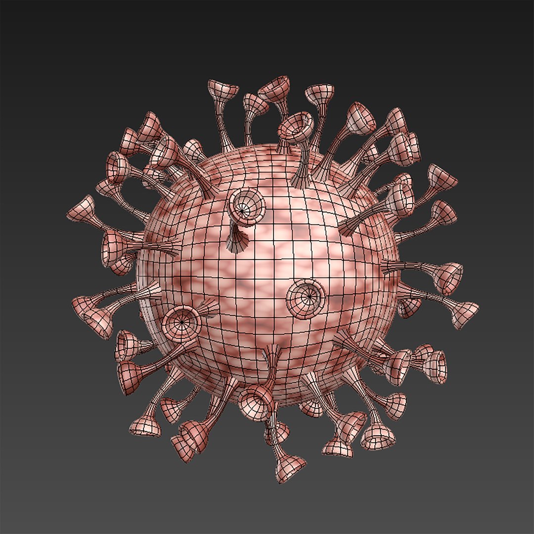 3D coronavirus virus https://p.turbosquid.com/ts-thumb/mx/hxDtPF/WzuFvnJ9/r03/jpg/1580923646/1920x1080/fit_q87/bb88cbb5402f78c8ba2bca760b792dea09ef1a5b/r03.jpg