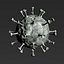 3D coronavirus virus