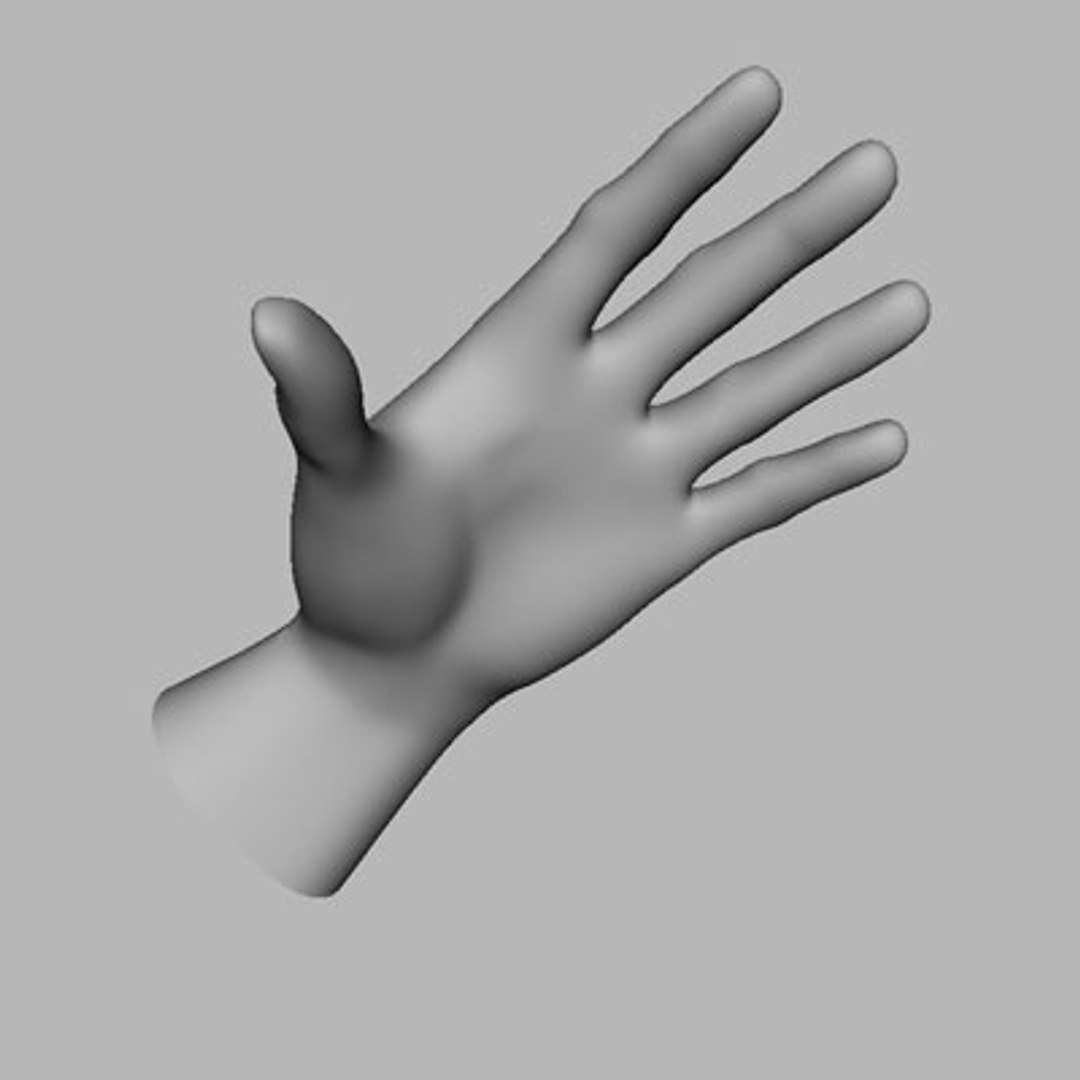 human hand 3d model