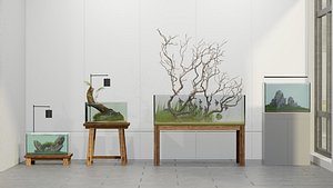 Minimal Aquascape Aquarium Collection 3D model