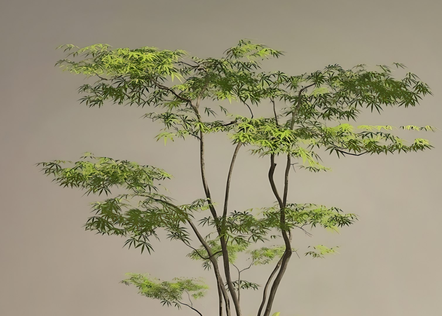 Landscape gardening plants courtyard landscape potted plants model https://p.turbosquid.com/ts-thumb/mx/nhFbGA/sv/21/jpg/1745232845/1920x1080/fit_q87/194ad3f1b217d7c507f8523f7708be6a2f2eac66/21.jpg