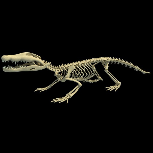 crocodile skeleton 3d max