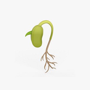 Prop38 Green Bean Sprouts Have Roots