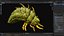 Larva-V2c