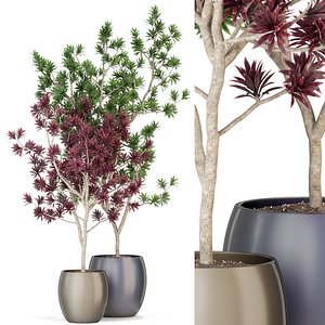 3D植物307