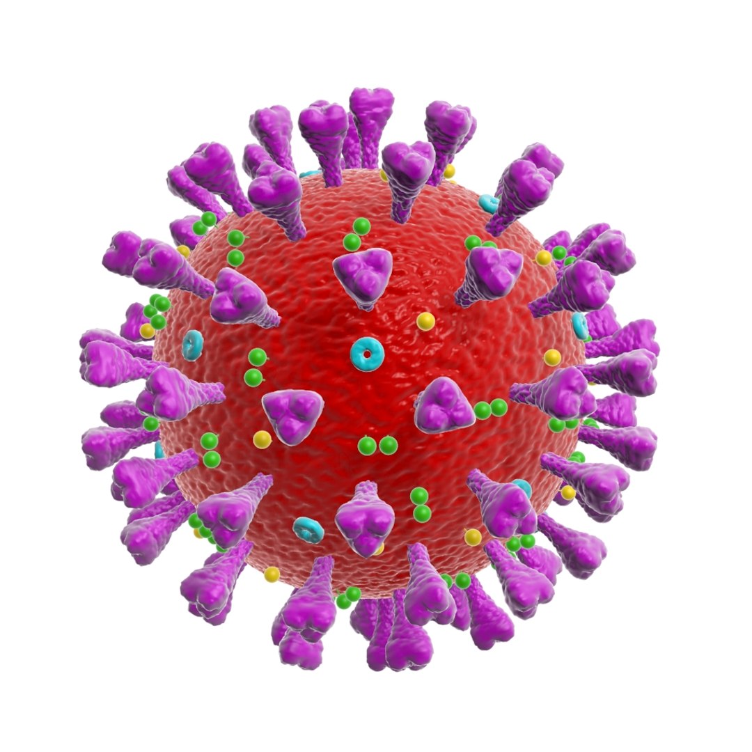 Coronavirus Corona Virus 3D Model - TurboSquid 1524976