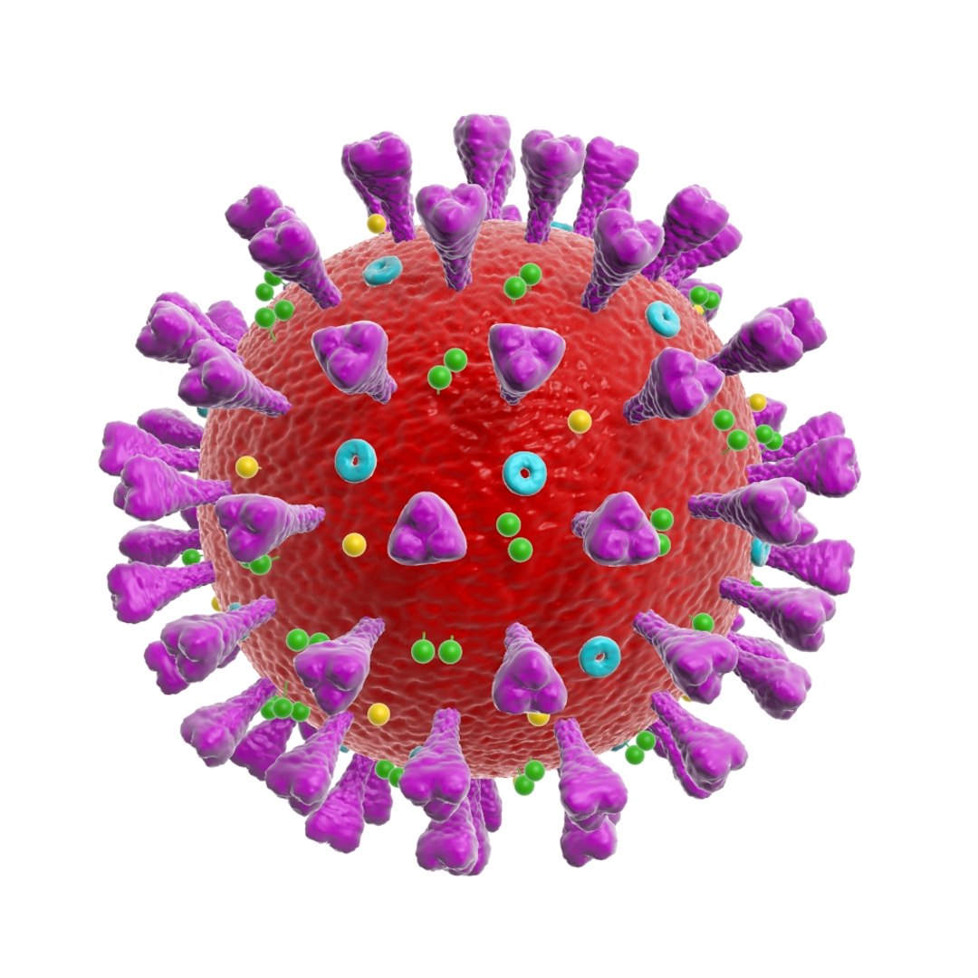 Coronavirus Corona Virus 3D Model - TurboSquid 1524976