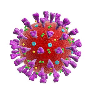 coronavirus corona virus 3D model